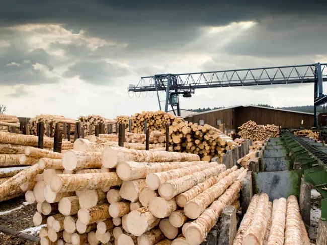 sawmill
